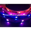 DC12V/24V Low Voltage Flexible RGB Led Strip Light